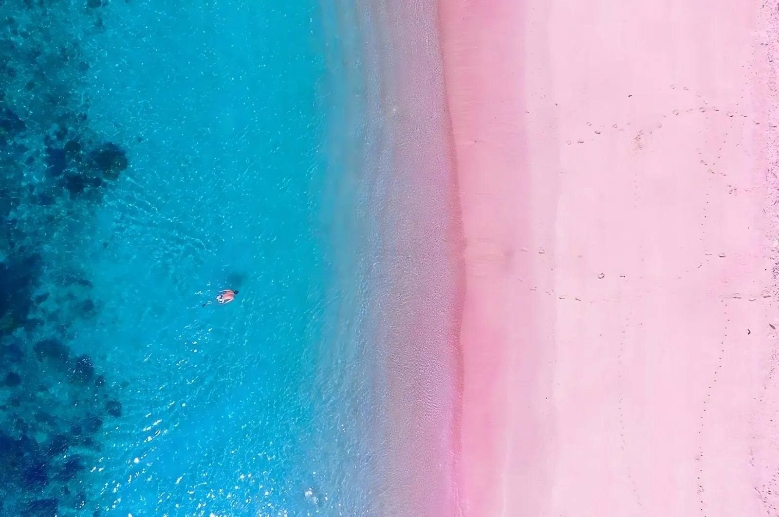Aerial view of the pink sand meeting turquoise water at Pink Beach