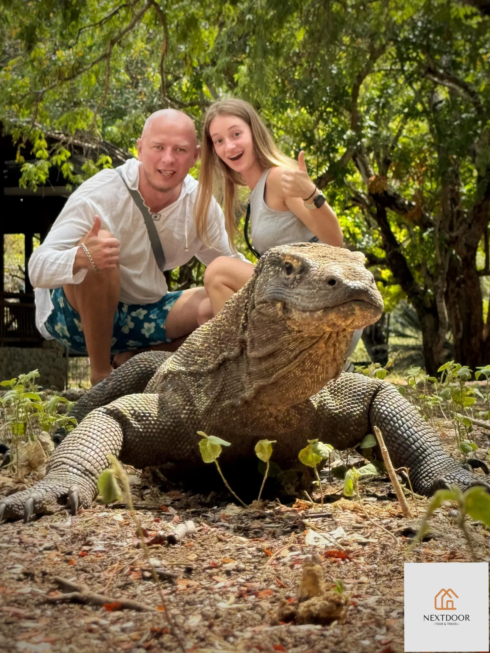 Travellers photographed at a safe distance from a Komodo dragon with a park ranger