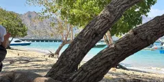 Guest photo from review